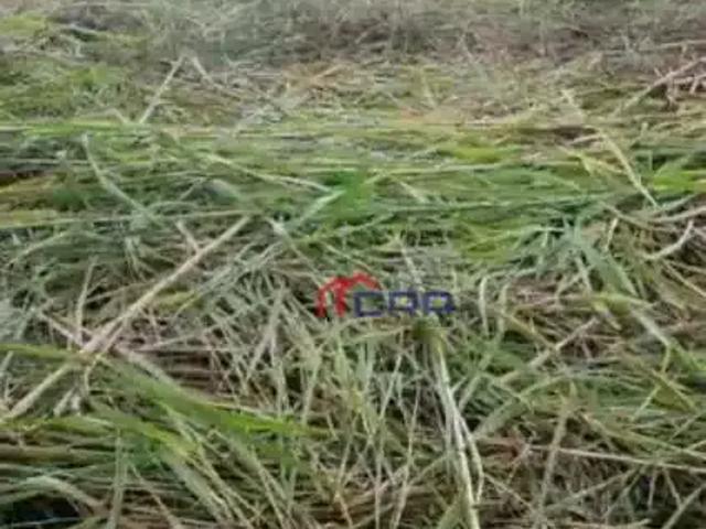 Terreno venda em Região Geográfica Imediata de Volta Redonda-Barra Mansa, Barra Mansa