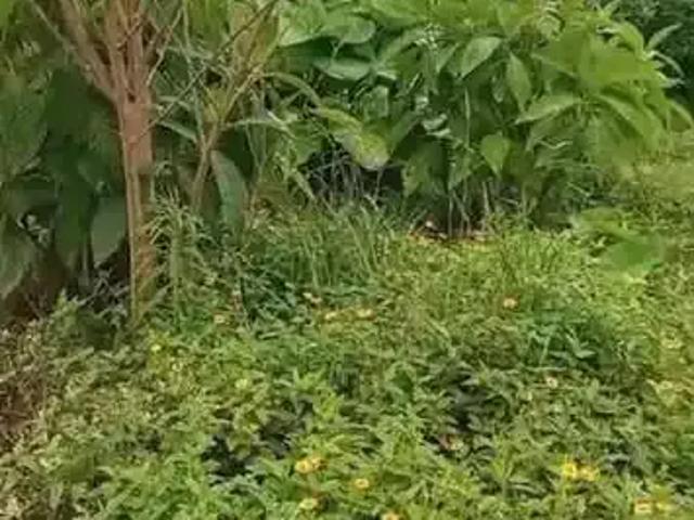 Terreno venda em Centro, Barra Velha