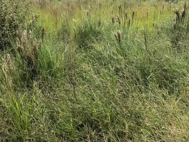 Terreno venda em Região Geográfica Imediata de Itajaí, Barra Velha