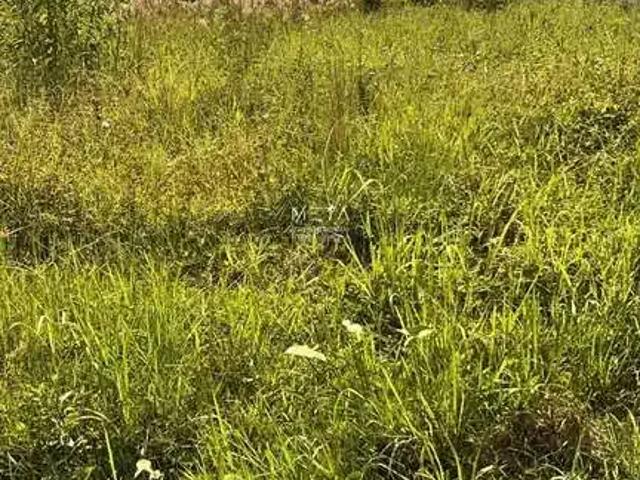 Terreno venda em Região Geográfica Imediata de Itajaí, Barra Velha