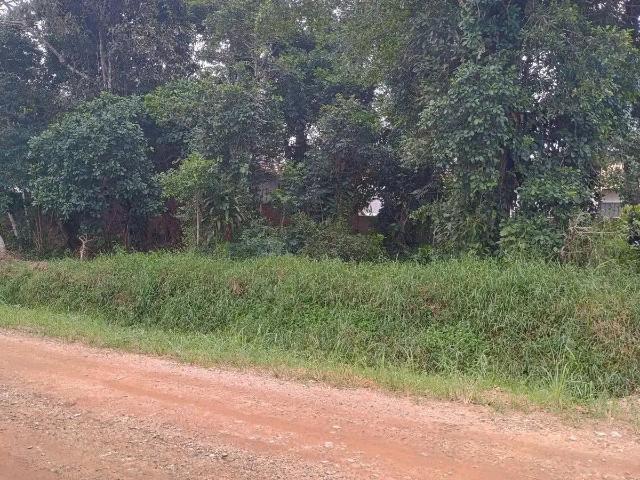 Terreno venda em Loteamento Jardim Cristiana, Barra Velha