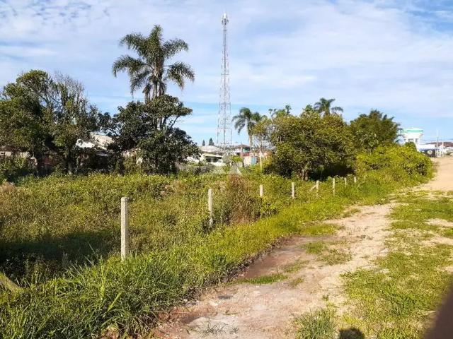 Terreno venda em Região Geográfica Imediata de Chapecó, Chapecó