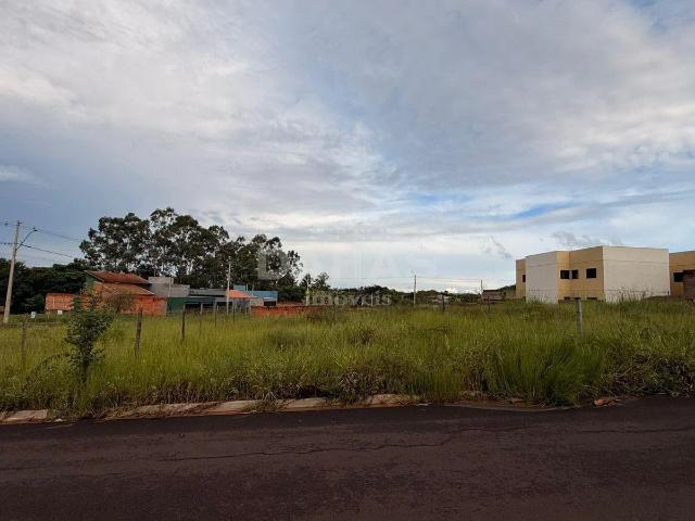 Terreno venda em Barretos, Região Geográfica Intermediária de Ribeirão Preto