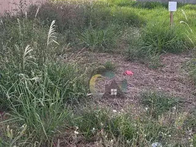 Terreno venda em Região Imediata de Barretos, Barretos