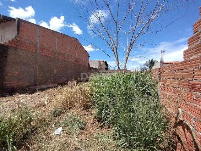 Terreno venda em Região Imediata de Barretos, Barretos