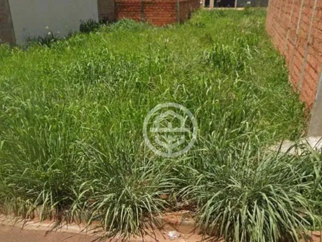 Terreno venda em Barretos, Região Geográfica Intermediária de Ribeirão Preto