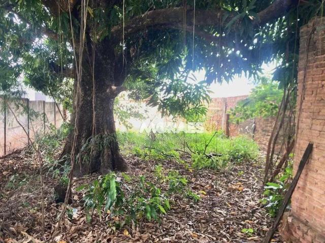 Terreno venda em Região Imediata de Bauru, Bauru