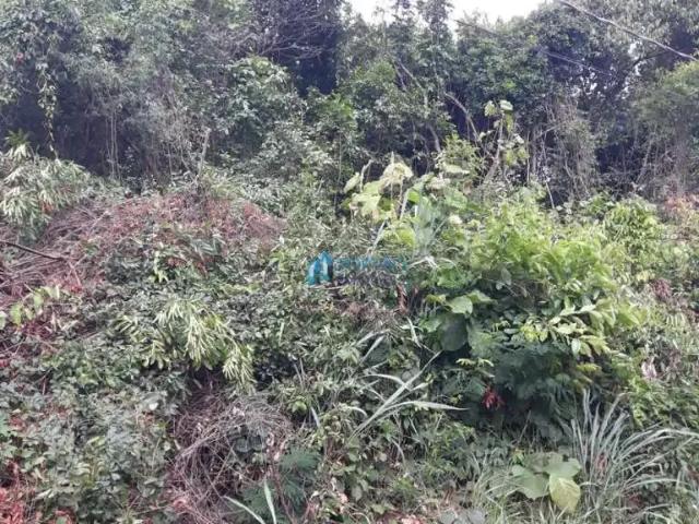 Terreno venda em Região Imediata de Bauru, Bauru