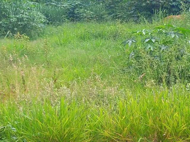 Terreno venda em Bauru, Região Geográfica Intermediária de Bauru