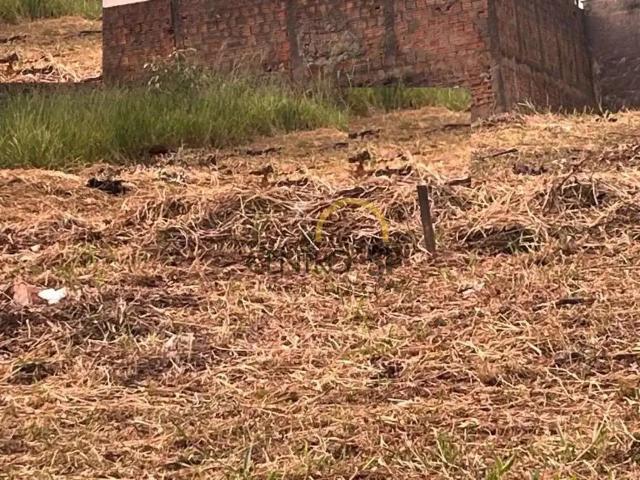 Terreno venda em Região Imediata de Bauru, Bauru