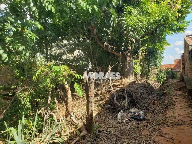 Terreno venda em Região Imediata de Bauru, Bauru
