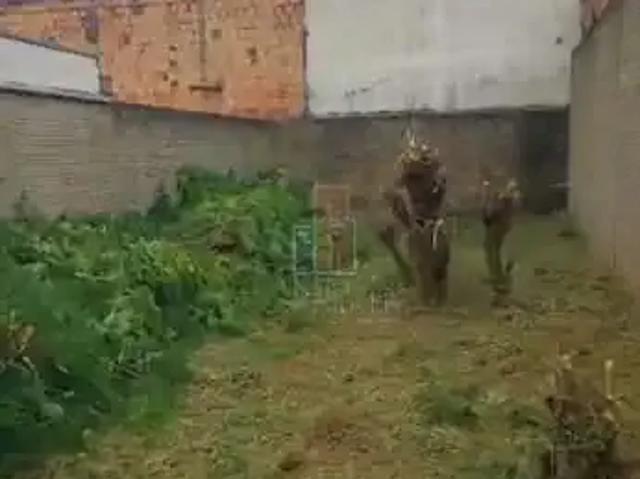Terreno venda em Região Imediata de Bauru, Bauru