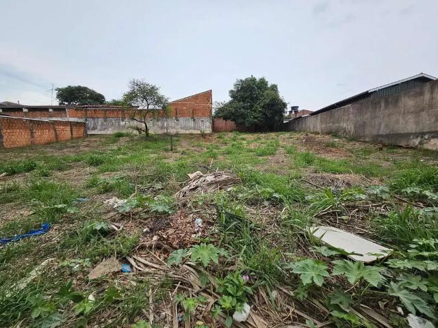 Terreno venda em Região Imediata de Bauru, Bauru