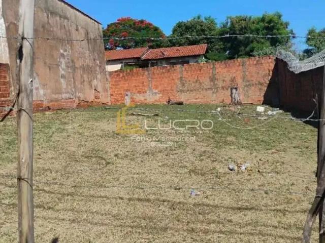Terreno venda em Região Imediata de Bauru, Bauru