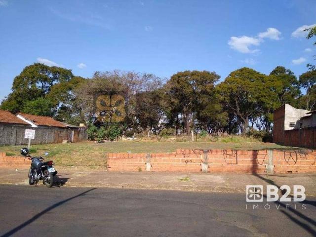 Terreno venda em Região Imediata de Bauru, Bauru