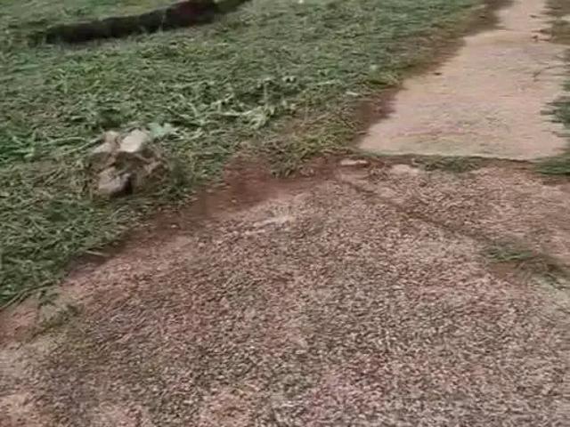 Terreno venda em Região Imediata de Bauru, Bauru