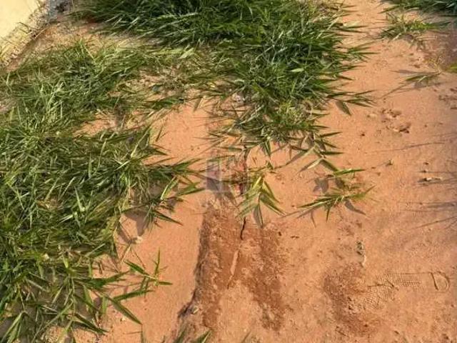 Terreno venda em Região Imediata de Bauru, Bauru