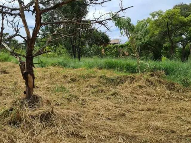 Terreno venda em Região Imediata de Bauru, Bauru