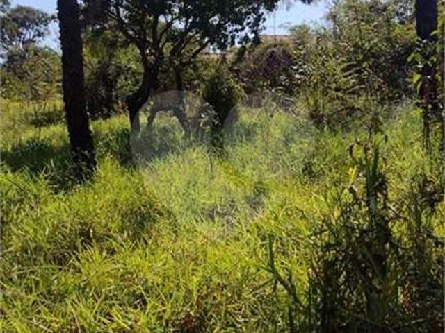 Terreno venda em Bauru