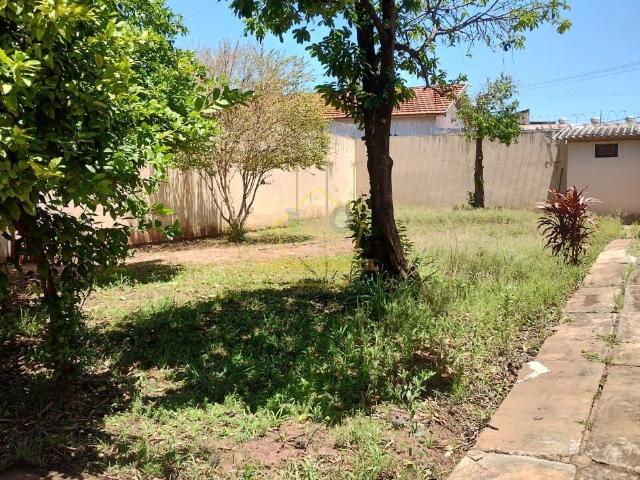 Terreno venda em Vila São Francisco, Bauru
