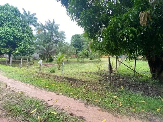 Terreno venda em Região Geográfica Imediata de Belém, Belém