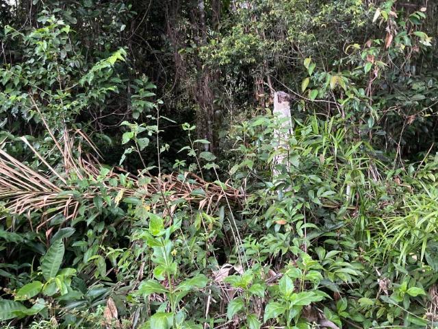 Terreno venda em Mosqueiro, Belém