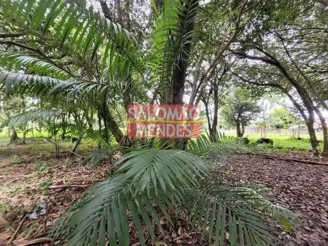 Terreno venda em Região Geográfica Imediata de Belém, Belém