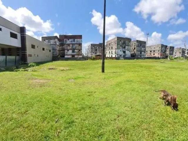 Terreno venda em Região Geográfica Imediata de Belém, Região Norte