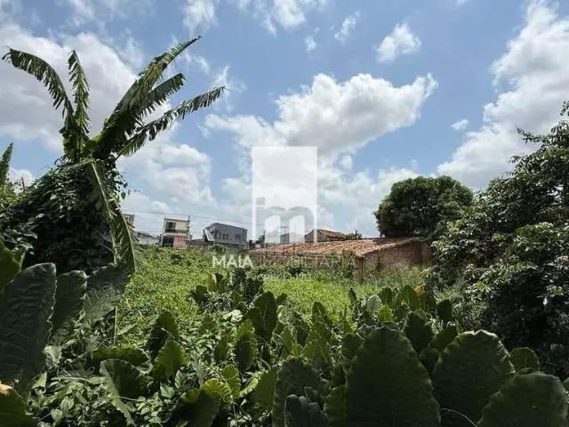 Terreno venda em Região Geográfica Imediata de Belém, Belém