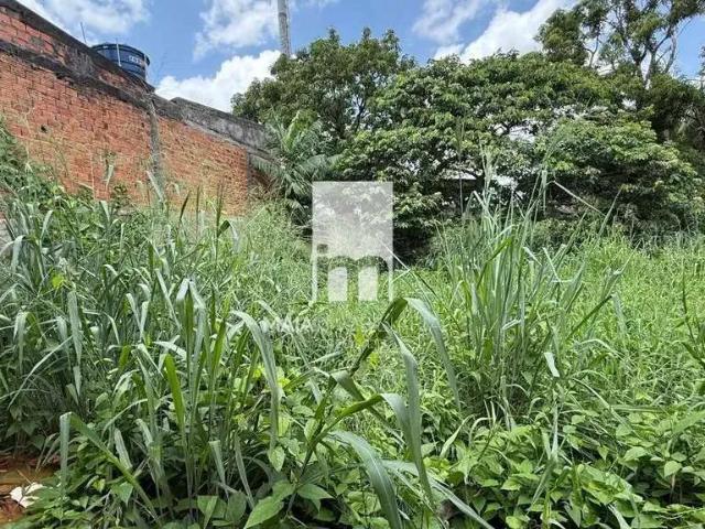 Terreno venda em Região Geográfica Imediata de Belém, Belém