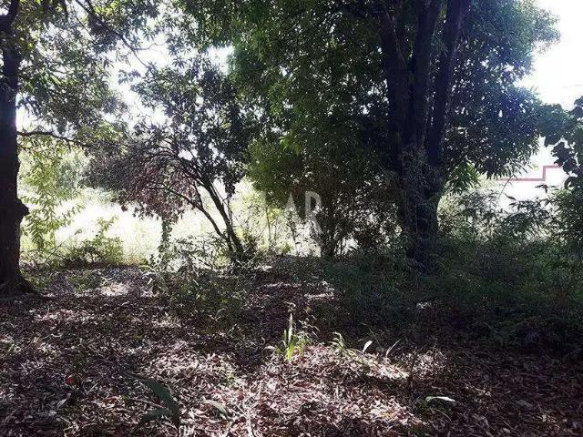 Terreno venda em Bandeirantes, Belo Horizonte