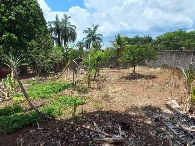 Terreno venda em Braúnas, Belo Horizonte