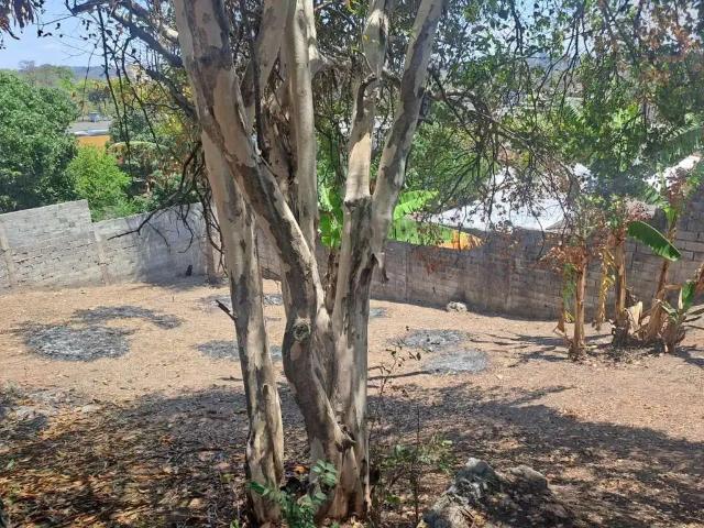 Terreno venda em Ermelinda, Belo Horizonte
