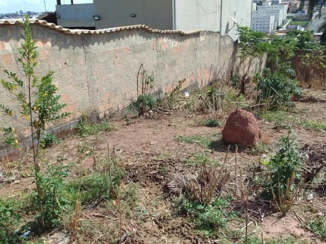 Terreno venda em Etelvina Carneiro, Belo Horizonte