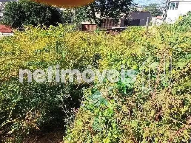 Terreno venda em Região Geográfica Imediata de Belo Horizonte, Região Metropolitana de Belo Horizonte
