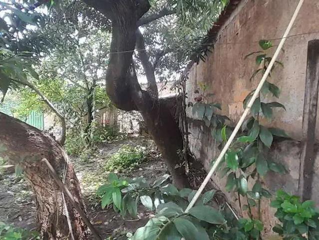 Terreno venda em Região Geográfica Imediata de Belo Horizonte, Região Metropolitana de Belo Horizonte