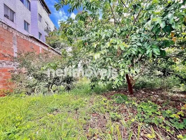 Terreno venda em Região Geográfica Imediata de Belo Horizonte, Região Metropolitana de Belo Horizonte