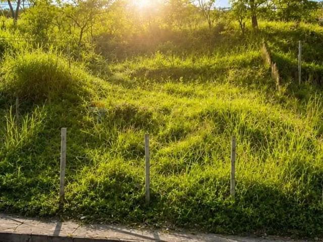 Terreno venda em Regional Centro-Sul, Belo Horizonte