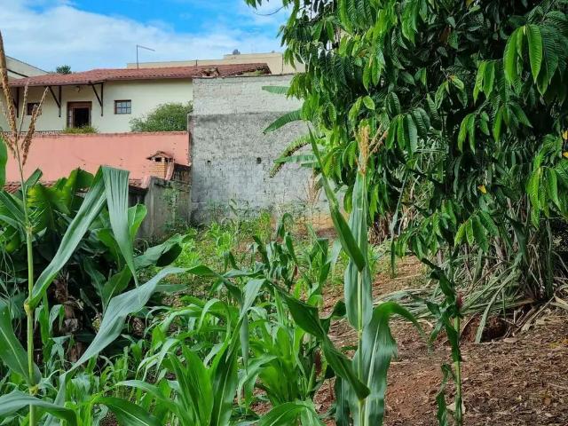 Terreno venda em Santa Branca, Belo Horizonte