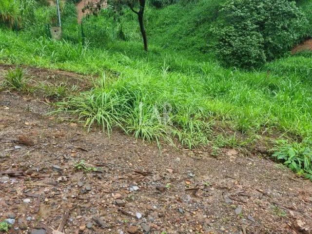 Terreno venda em Santa Lúcia, Belo Horizonte