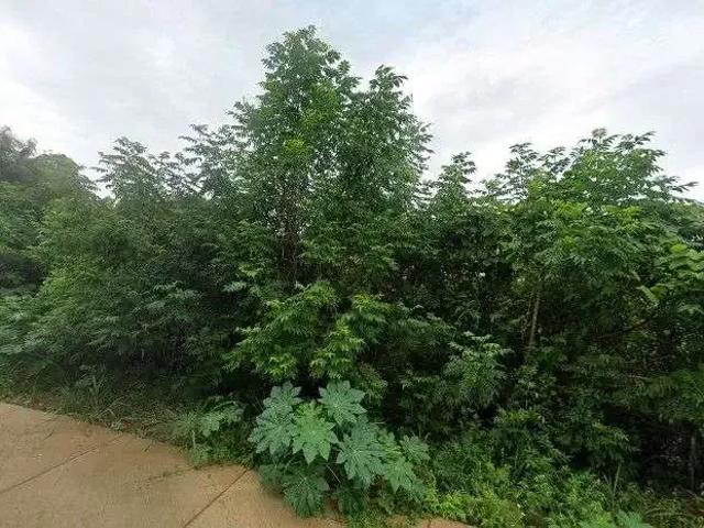 Terreno venda em Regional Centro-Sul, Belo Horizonte