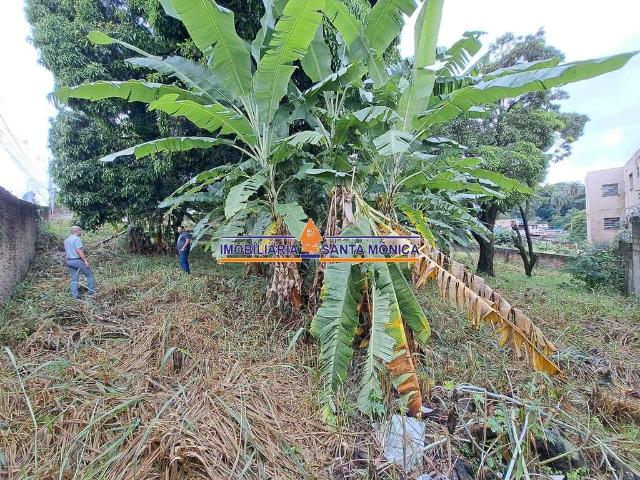 Terreno venda em Trevo, Belo Horizonte
