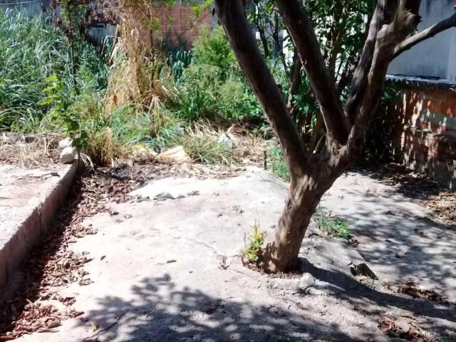Terreno venda em União, Belo Horizonte