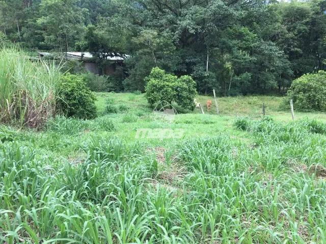 Terreno venda em Benedito Novo, Região Geográfica Intermediária de Blumenau