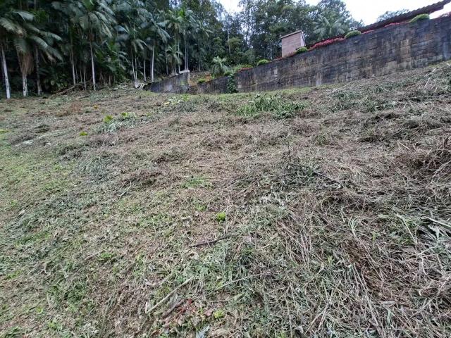 Terreno venda em Região Geográfica Imediata de Blumenau, Benedito Novo