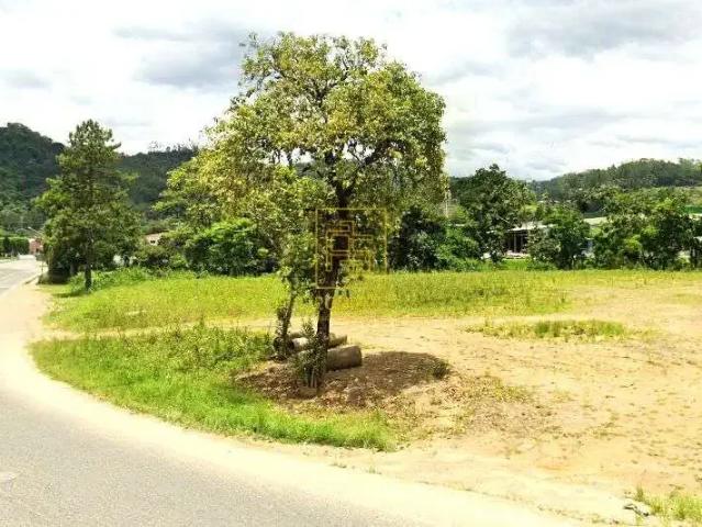 Terreno venda em Benedito Novo, Região Geográfica Intermediária de Blumenau