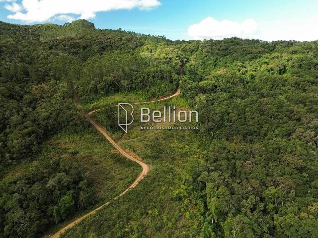 Terreno venda em Santa Maria, Benedito Novo