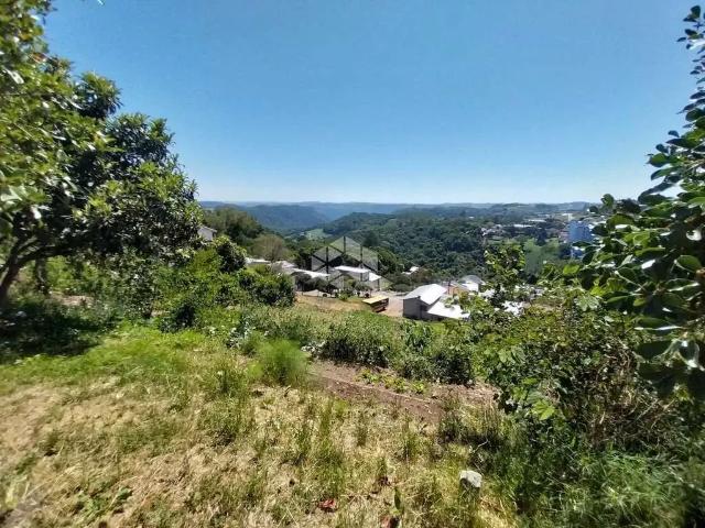 Terreno venda em Região Geográfica Imediata de Bento Gonçalves, Bento Gonçalves