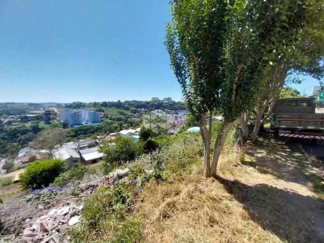 Terreno venda em Região Geográfica Imediata de Bento Gonçalves, Bento Gonçalves