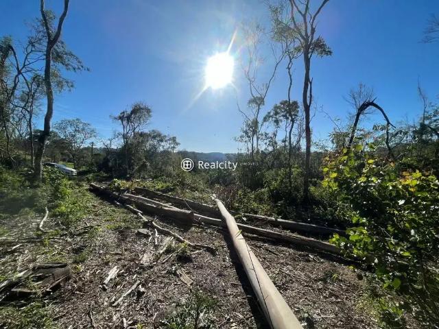 Terreno venda em Região Geográfica Imediata de Bento Gonçalves, Bento Gonçalves
